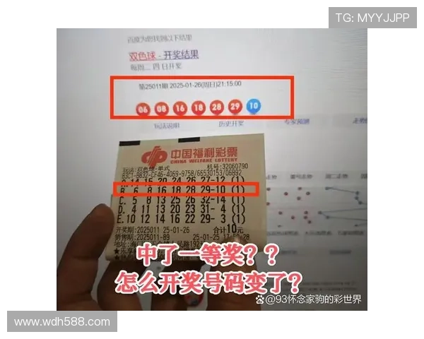 彩票004期开奖结果震撼揭晓，幸运号码花落谁家？